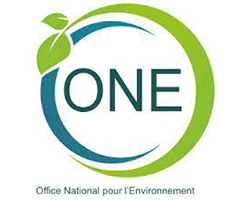 ONE