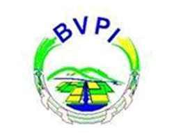 BVPI
